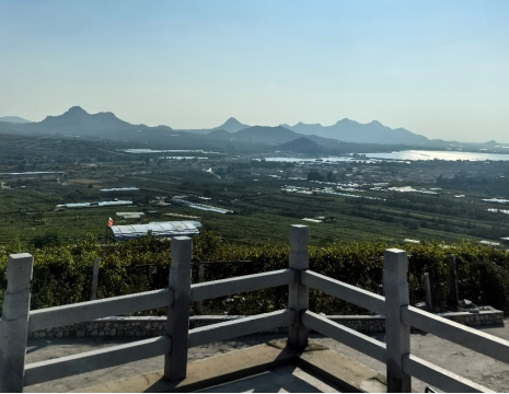 http://www.tbzxd.cn平度大澤山葡萄園引進(jìn)萊恩德土壤肥料檢測(cè)儀， 輕松掌握土壤營(yíng)養(yǎng)